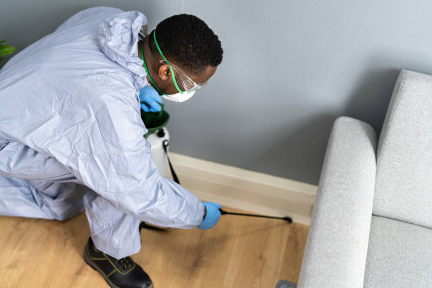 Real Estate Pest Inspections in Richland, MS